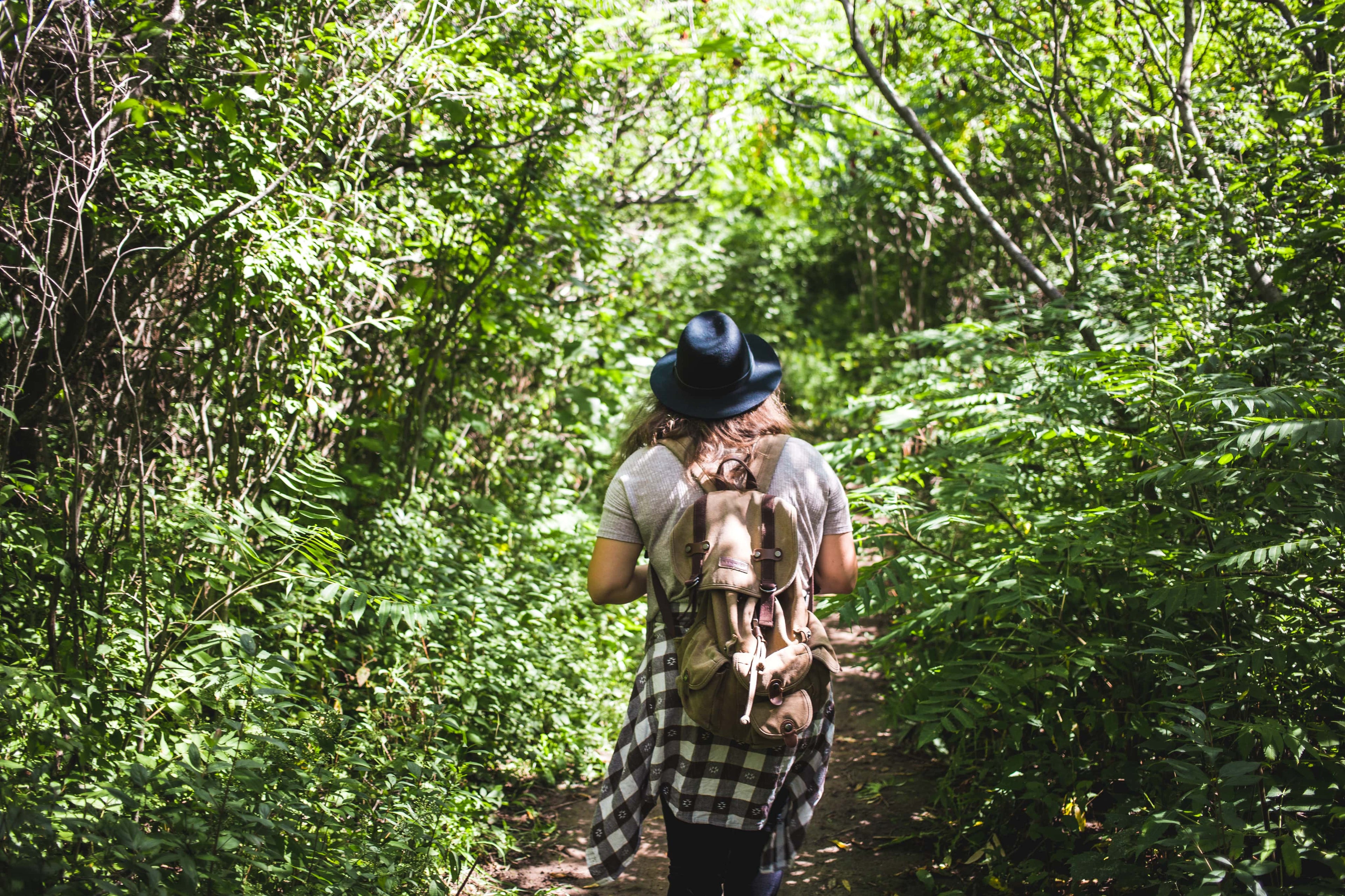 Person hiking in forest