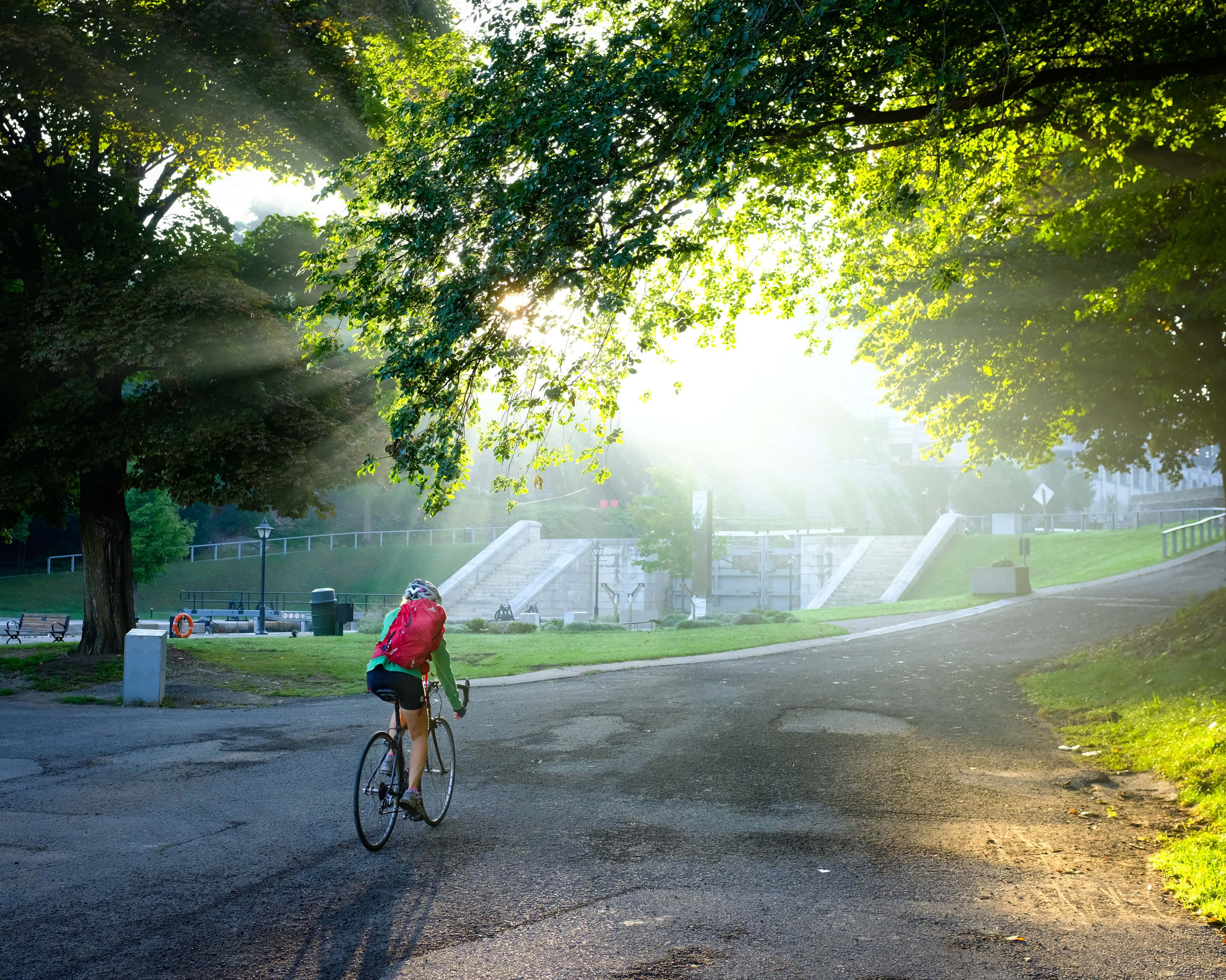 Light shining through leaves as woman cycles through the park